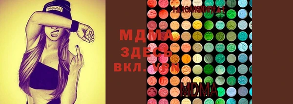 стаф Елизово