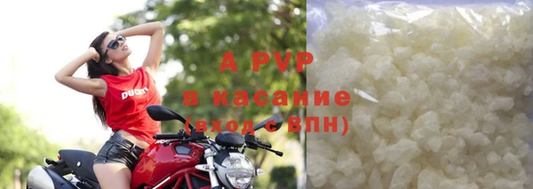 стаф Елизово