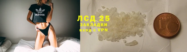 стаф Елизово
