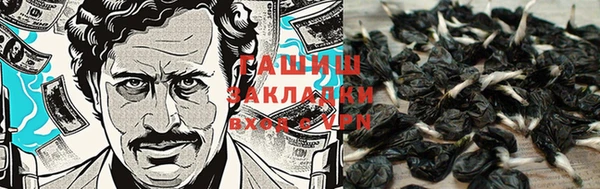 стаф Елизово