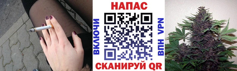 Шишки марихуана гибрид  Купить закладки  Всеволожск 